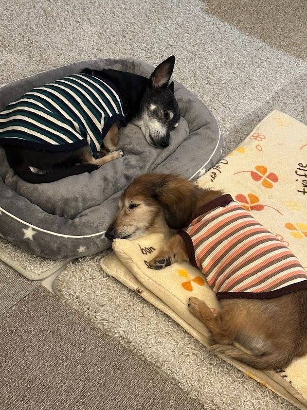 ゴールデンウィーク休業のお知らせ